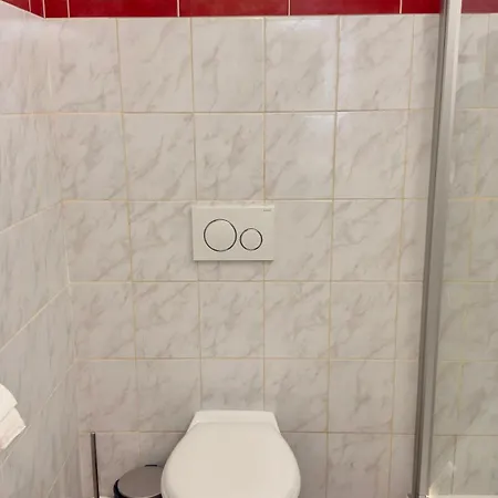 아파트 Central Apartments Hof 호프
